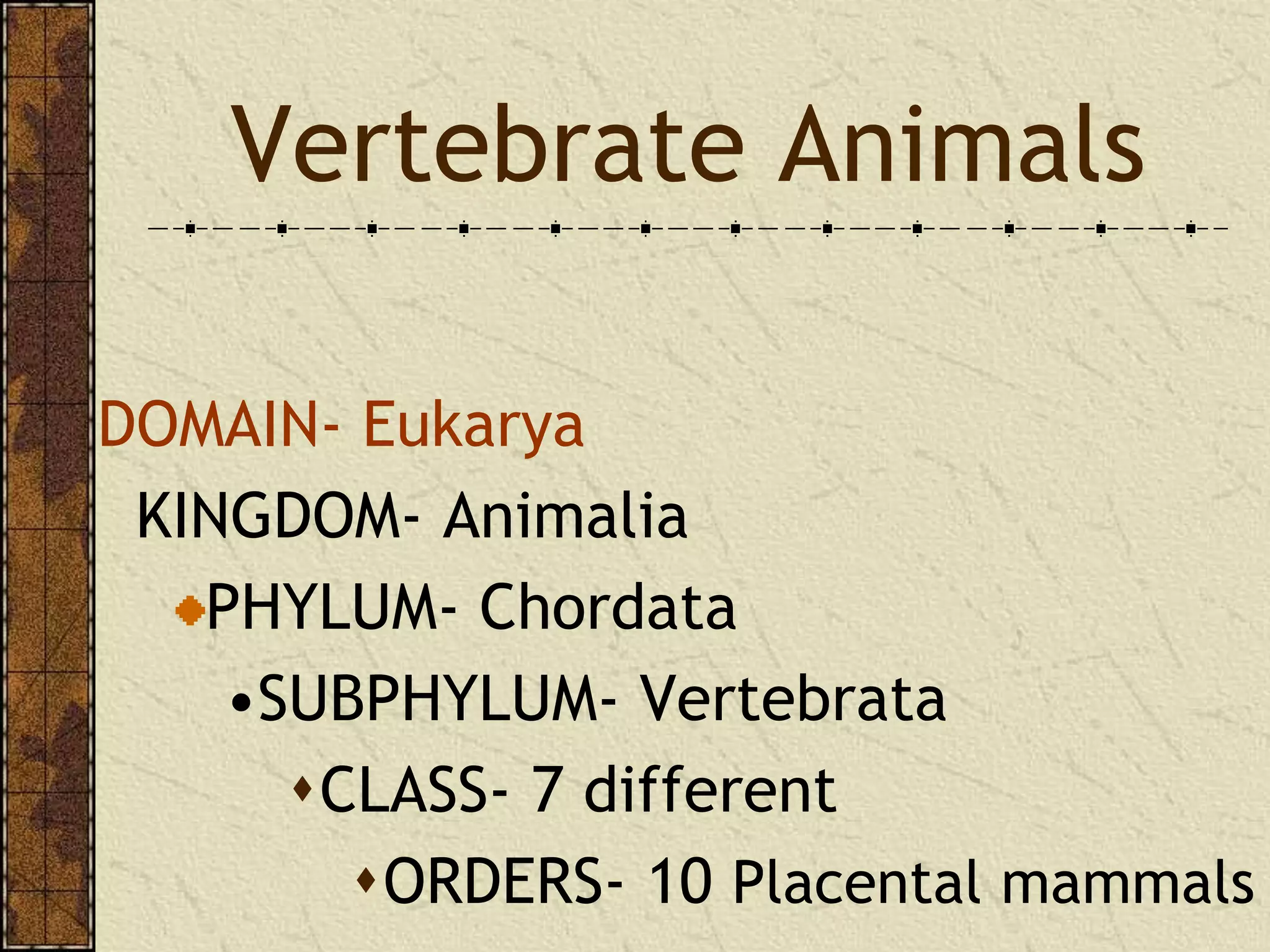 Vertebratespowerpoint | PPTX