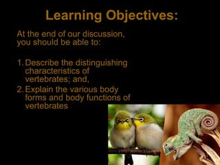 Vertebrates_Revised.ppt