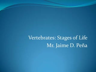 Vertebrates: Stages of Life Mr. Jaime D. Peña 
