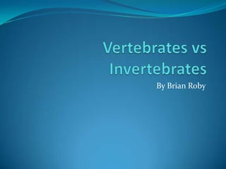 Vertebrates vs Invertebrates By Brian Roby 