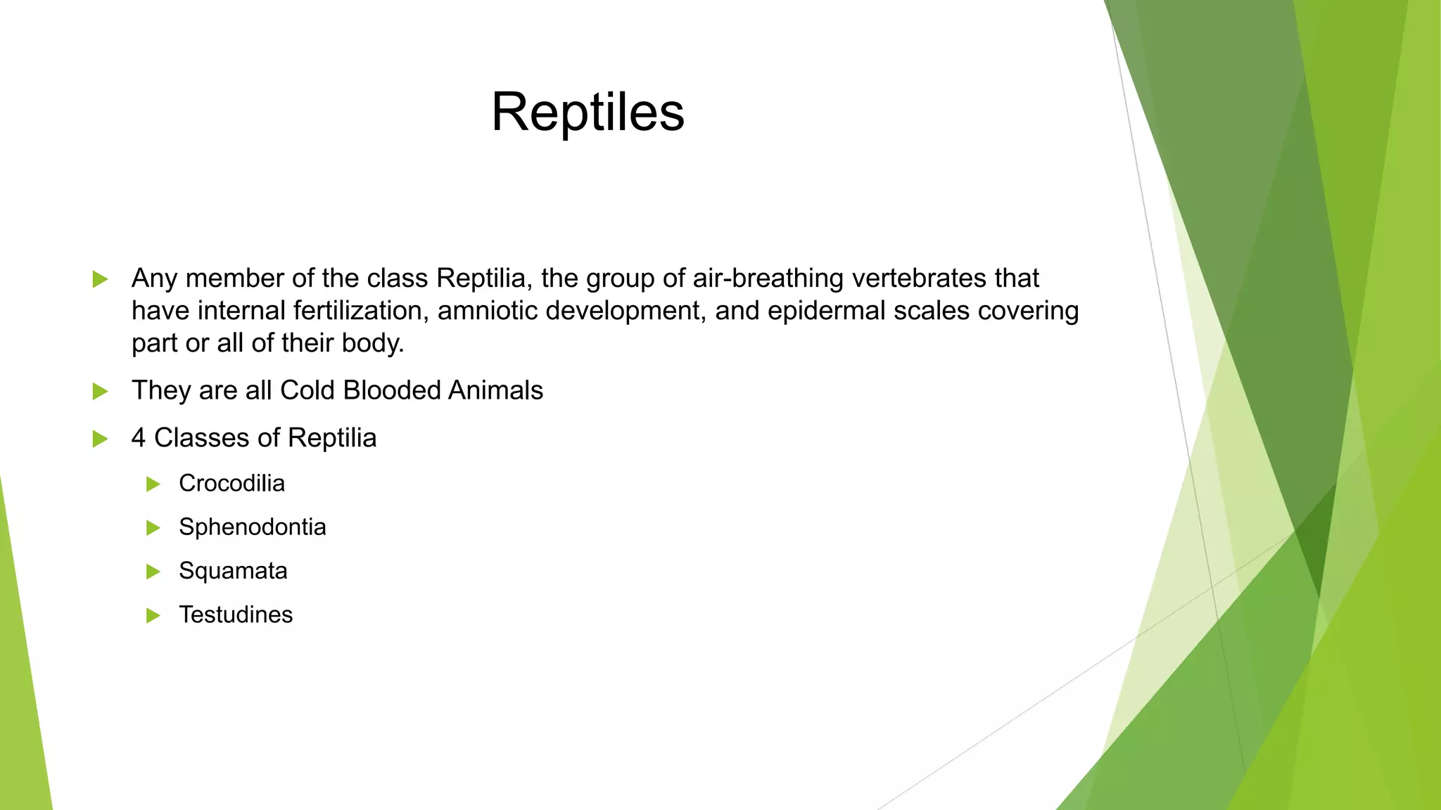 Photo inspiration: Vertebrate Systematics Snakes Reference: Vertebrate Systematics