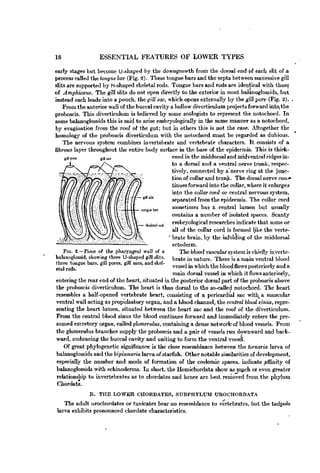 Vertebrate Text book by Hymen.pdf