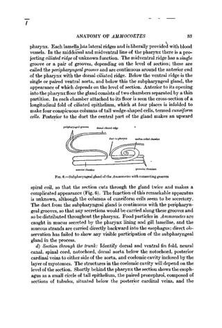 Vertebrate Text book by Hymen.pdf