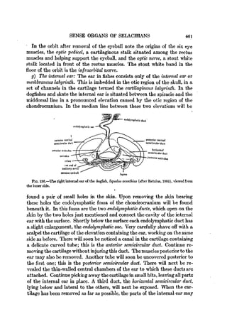 Vertebrate Text book by Hymen.pdf