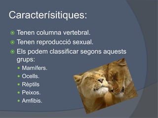 Caracterísitiques:Tenen columna vertebral.Tenen reproducció sexual.Els podem classificar segons aquests grups:Mamífers.Ocells.RèptilsPeixos.Amfibis.