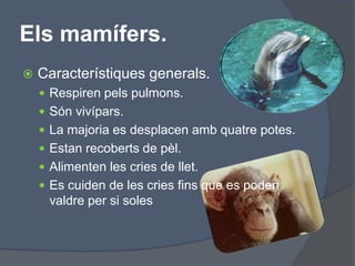 Els mamífers.Característiques generals.Respiren pels pulmons.Són vivípars.La majoria es desplacen amb quatre potes.Estan recoberts de pèl.Alimenten les cries de llet.Es cuiden de les cries fins que es poden valdre per si soles