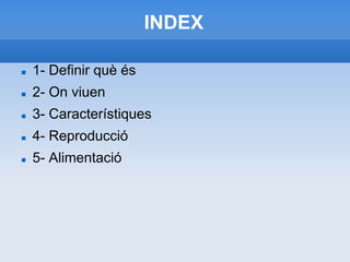 INDEX ,[object Object]