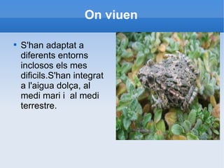 On viuen S'han adaptat a diferents entorns inclosos els mes dificils.S'han integrat a l'aigua dolça, al medi mari i  al medi terrestre.  