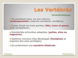 Les Vertébrés
                                             Caractéristiques
       Ils posèdent tous, un axe interne
      (endoesquelette) colonne vertebral: vertèbres.

      Corps divisé en trois parties (tête, tronc et queue,
      avec exceptions).

      Extrémités articulées adaptées (pattes, ailes ou
      nageoires).

       Système nerveux très développé (Encéphale et
      organes des sens protégés)

         Ils présentent une symétrie bilatérale.



Internenes                                            PiensoyJuego
 