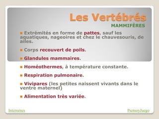 Les Vertébrés
                                          MAMMIFÈRES
       Extrémités en forme de pattes, sauf les
      aquatiques, nageoires et chez le chauvesouris, de
      ailes.
         Corps recouvert de poils.
         Glandules mammaires.
         Homéothermes, à température constante.
         Respiration pulmonaire.
      Vivipares (les petites naissent vivants dans le
      ventre maternel)
         Alimentation très variée.


Internenes                                       PiensoyJuego
 