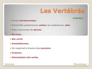Les Vertébrés
                                                                    OISEAUX
        Forme aérodynamique.

        Extrémités postérieures: pattes; les antérieures, ailes.

        Peau recouverte de plumes.

        Os creux.

        Bec corné.

        Homéothermes.

        Ils respirent à travers des poumons.

        Ovipares.

        Alimentation très variée.


Internenes                                                          PiensoyJuego
 