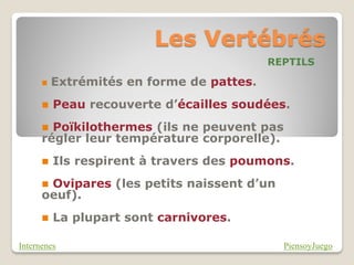 Les Vertébrés
                                           REPTILS

         Extrémités en forme de pattes.
         Peau recouverte d’écailles soudées.
       Poïkilothermes (ils ne peuvent pas
      régler leur température corporelle).
         Ils respirent à travers des poumons.
      Ovipares (les petits naissent d’un
      oeuf).
         La plupart sont carnivores.

Internenes                                   PiensoyJuego
 