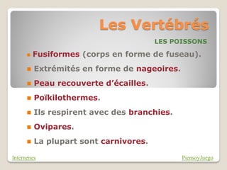 Les Vertébrés
                                        LES POISSONS

         Fusiformes (corps en forme de fuseau).
         Extrémités en forme de nageoires.
         Peau recouverte d’écailles.
         Poïkilothermes.
         Ils respirent avec des branchies.
         Ovipares.
         La plupart sont carnivores.

Internenes                                    PiensoyJuego
 