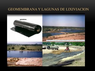 GEOMEMBRANA Y LAGUNAS DE LIXIVIACION
 