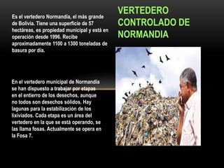 Es el vertedero Normandía, el más grande
de Bolivia. Tiene una superficie de 57
hectáreas, es propiedad municipal y está en
operación desde 1996. Recibe
aproximadamente 1100 a 1300 toneladas de
basura por día.
En el vertedero municipal de Normandía
se han dispuesto a trabajar por etapas
en el entierro de los desechos, aunque
no todos son desechos sólidos. Hay
lagunas para la estabilización de los
lixiviados. Cada etapa es un área del
vertedero en la que se está operando, se
las llama fosas. Actualmente se opera en
la Fosa 7.
VERTEDERO
CONTROLADO DE
NORMANDIA
 