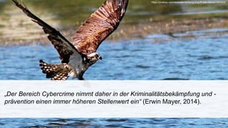 „Der Bereich Cybercrime nimmt daher in der Kriminalitätsbekämpfung und -
prävention einen immer höheren Stellenwert ein“ (Erwin Mayer, 2014).
https://pixabay.com/de/buteo-landung-angriff-see-wasser-453352/
 
