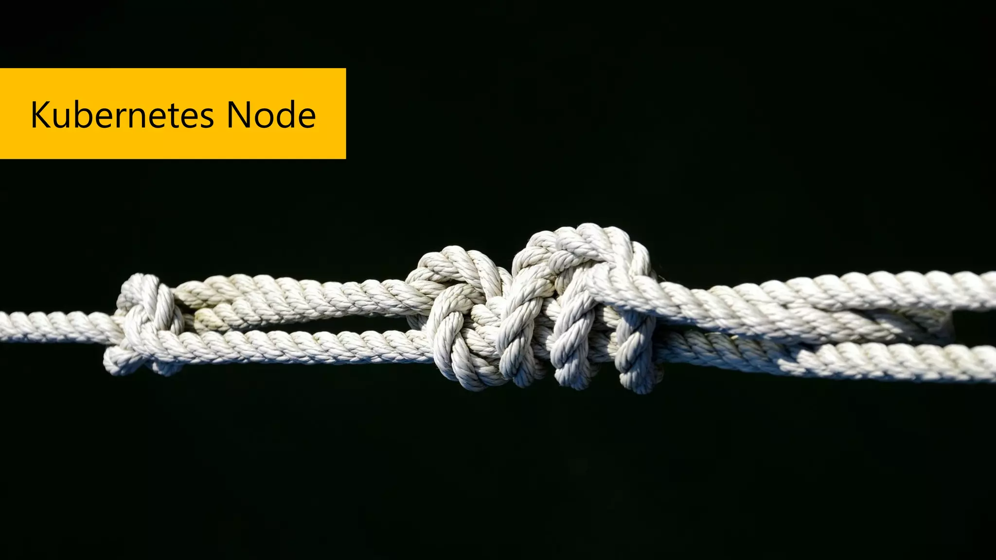 Kubernetes Node
 