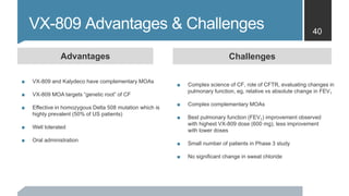 Vertex case study image