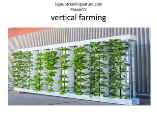 Signuptrendingnature.com
Present’s
vertical farming
 