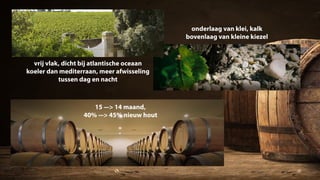 lutte raisonnée
manuele oogst
20 d fermentatie in inox
franse eik (45% nieuw)
selection massale (<-> clonale)
30 ha, gem. ...