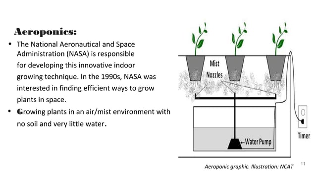 Vertical Farming PPT