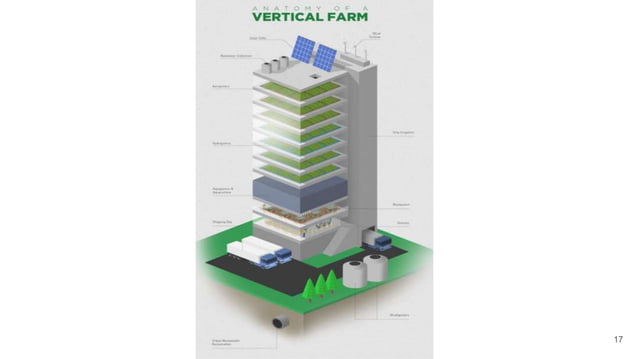 Vertical Farming PPT