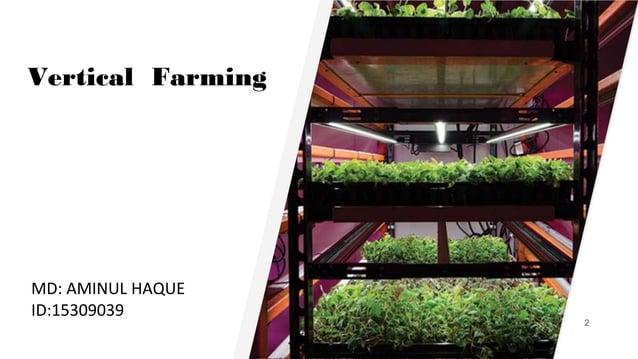 Vertical Farming PPT