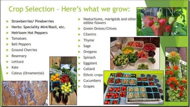 Vertical Farming PPT