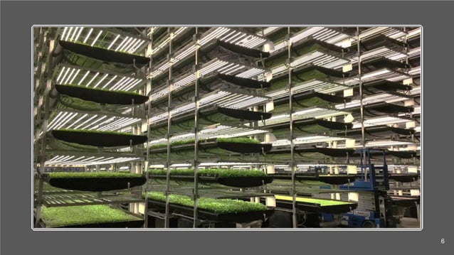 Vertical Farming PPT