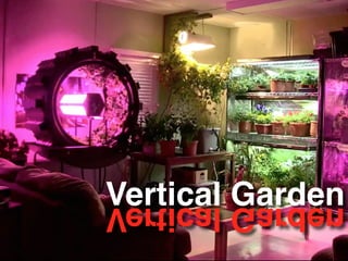 Vertical GardenVertical Garden
 