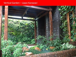 Vertical Garden – Lippo Karawaci
 