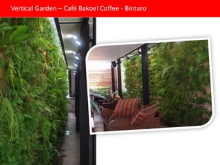 Vertical Garden – Café Bakoel Coffee - Bintaro
 
