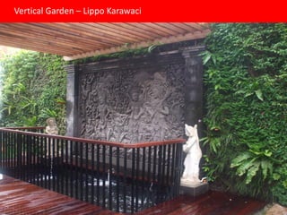 Vertical Garden – Lippo Karawaci
 