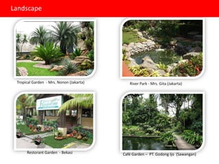 Landscape




 Tropical Garden - Mrs. Nonon (Jakarta)      River Park - Mrs. Gita (Jakarta)




      Restorant Garden - Bekasi           Café Garden – PT. Godong Ijo (Sawangan)
 