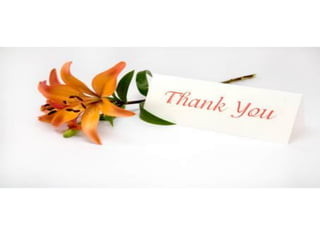 Vertical Garden Indonesia