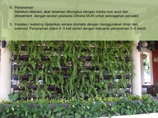 4. Penanaman
   Sebelum ditanam, akar tanaman dibungkus dengan media rock wool dan
   ditreatment dengan larutan pestisida Dithane M-45 untuk pencegahan penyakit.

5. Instalasi / watering dijalankan secara otomatis dengan menggunakan timer dan
   solenoid. Penyiraman diatur 4 -5 kali sehari dengan frekuensi penyiraman 3–5 menit.
 