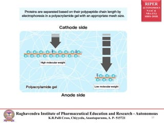 RIPER
AUTONOMOUS
NAAC &
NBA (UG)
SIRO- DSIR
Raghavendra Institute of Pharmaceutical Education and Research - Autonomous
K.R.Palli Cross, Chiyyedu, Anantapuramu, A. P- 515721 10
 