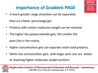 RIPER
AUTONOMOUS
NAAC &
NBA (UG)
SIRO- DSIR
Raghavendra Institute of Pharmaceutical Education and Research - Autonomous
K.R.Palli Cross, Chiyyedu, Anantapuramu, A. P- 515721
Importance of Gradient PAGE
• A much greater range of protein can be separated
than on a fixed –percentage gel.
• Proteins with similar molecular weight can be resolved.
• The higher the polyacrylamide gels, the smaller the
pore Size in the matrix.
• Higher concentration gels can separate small sized proteins.
• While low concentration gels, with larger pore size are better
at resolving higher molecular weight proteins.
12
 