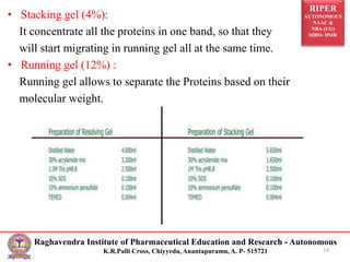 RIPER
AUTONOMOUS
NAAC &
NBA (UG)
SIRO- DSIR
Raghavendra Institute of Pharmaceutical Education and Research - Autonomous
K.R.Palli Cross, Chiyyedu, Anantapuramu, A. P- 515721
• Stacking gel (4%):
It concentrate all the proteins in one band, so that they
will start migrating in running gel all at the same time.
• Running gel (12%) :
Running gel allows to separate the Proteins based on their
molecular weight.
14
 