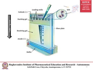 RIPER
AUTONOMOUS
NAAC &
NBA (UG)
SIRO- DSIR
Raghavendra Institute of Pharmaceutical Education and Research - Autonomous
K.R.Palli Cross, Chiyyedu, Anantapuramu, A. P- 515721 15
 