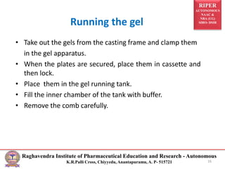 RIPER
AUTONOMOUS
NAAC &
NBA (UG)
SIRO- DSIR
Raghavendra Institute of Pharmaceutical Education and Research - Autonomous
K.R.Palli Cross, Chiyyedu, Anantapuramu, A. P- 515721
Running the gel
16
• Take out the gels from the casting frame and clamp them
in the gel apparatus.
• When the plates are secured, place them in cassette and
then lock.
• Place them in the gel running tank.
• Fill the inner chamber of the tank with buffer.
• Remove the comb carefully.
 