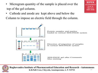 RIPER
AUTONOMOUS
NAAC &
NBA (UG)
SIRO- DSIR
Raghavendra Institute of Pharmaceutical Education and Research - Autonomous
K.R.Palli Cross, Chiyyedu, Anantapuramu, A. P- 515721
• Microgram quantity of the sample is placed over the
top of the gel column.
• Cathode and anode are kept above and below the
Column to impose an electric field through the column.
17
 