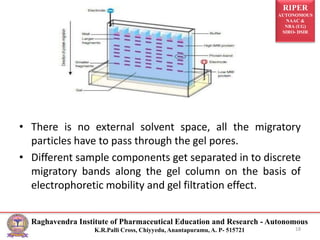 RIPER
AUTONOMOUS
NAAC &
NBA (UG)
SIRO- DSIR
Raghavendra Institute of Pharmaceutical Education and Research - Autonomous
K.R.Palli Cross, Chiyyedu, Anantapuramu, A. P- 515721
• There is no external solvent space, all the migratory
particles have to pass through the gel pores.
• Different sample components get separated in to discrete
migratory bands along the gel column on the basis of
electrophoretic mobility and gel filtration effect.
18
 