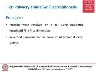 RIPER
AUTONOMOUS
NAAC &
NBA (UG)
SIRO- DSIR
Raghavendra Institute of Pharmaceutical Education and Research - Autonomous
K.R.Palli Cross, Chiyyedu, Anantapuramu, A. P- 515721
2D Polyacrylamide Gel Electrophoresis
Principle :
• Proteins were resolved on a gel using isoelectric
focusing(IEF) in first dimension.
• In second dimension in the Presence of sodium dodecyl
sulfate.
20
 