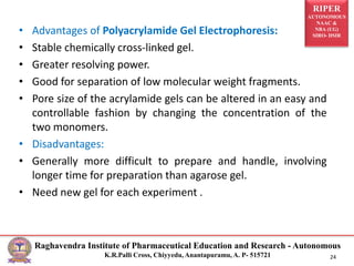 RIPER
AUTONOMOUS
NAAC &
NBA (UG)
SIRO- DSIR
Raghavendra Institute of Pharmaceutical Education and Research - Autonomous
K.R.Palli Cross, Chiyyedu, Anantapuramu, A. P- 515721 24
• Advantages of Polyacrylamide Gel Electrophoresis:
• Stable chemically cross-linked gel.
• Greater resolving power.
• Good for separation of low molecular weight fragments.
• Pore size of the acrylamide gels can be altered in an easy and
controllable fashion by changing the concentration of the
two monomers.
• Disadvantages:
• Generally more difficult to prepare and handle, involving
longer time for preparation than agarose gel.
• Need new gel for each experiment .
 