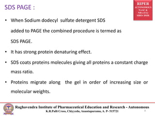RIPER
AUTONOMOUS
NAAC &
NBA (UG)
SIRO- DSIR
Raghavendra Institute of Pharmaceutical Education and Research - Autonomous
K.R.Palli Cross, Chiyyedu, Anantapuramu, A. P- 515721
SDS PAGE :
• When Sodium dodecyl sulfate detergent SDS
added to PAGE the combined procedure is termed as
SDS PAGE.
• It has strong protein denaturing effect.
• SDS coats proteins molecules giving all proteins a constant charge
mass ratio.
• Proteins migrate along the gel in order of increasing size or
molecular weights.
8
 