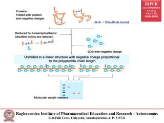 RIPER
AUTONOMOUS
NAAC &
NBA (UG)
SIRO- DSIR
Raghavendra Institute of Pharmaceutical Education and Research - Autonomous
K.R.Palli Cross, Chiyyedu, Anantapuramu, A. P- 515721 9
 