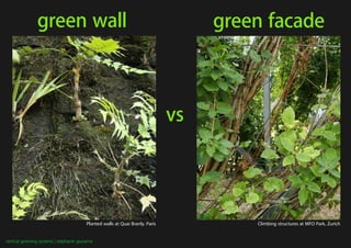 green wall                                                          green facade



                                                                               vs




                                         Planted walls at Quai Branly. Paris            Climbing structures at MFO Park, Zurich


vertical greening systems | stephanie gautama
 