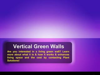 Vertical Green Walls
Are you interested in a living green wall? Learn
more about what it is & how it works & enhances
living space and the cost by contacting Plant
Solutions!
 