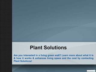 Plant Solutions
Are you interested in a living green wall? Learn more about what it is
& how it works & enhances living space and the cost by contacting
Plant Solutions!
 